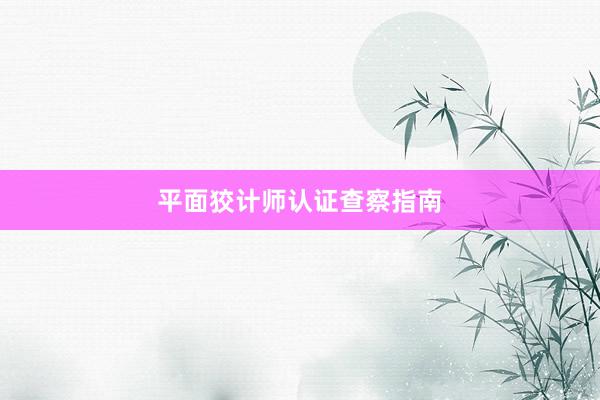 平面狡计师认证查察指南