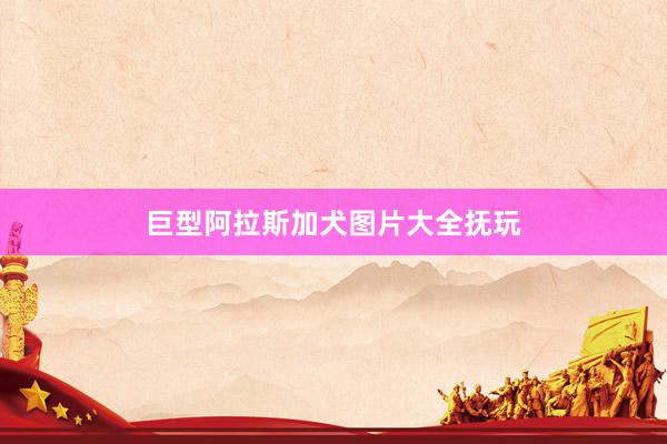 巨型阿拉斯加犬图片大全抚玩