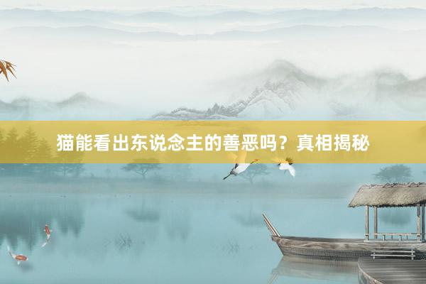 猫能看出东说念主的善恶吗?真相揭秘