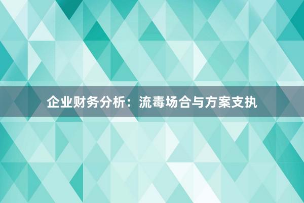 企业财务分析：流毒场合与方案支执