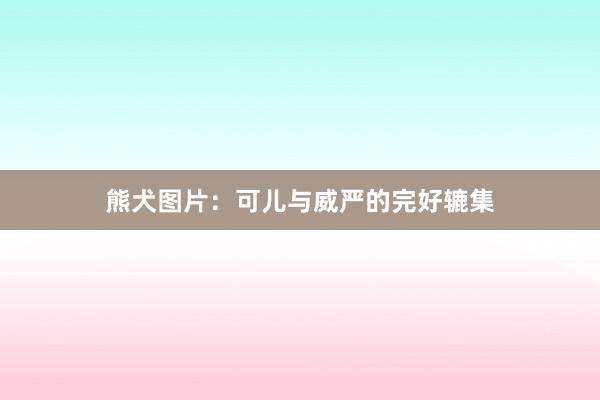 熊犬图片：可儿与威严的完好辘集